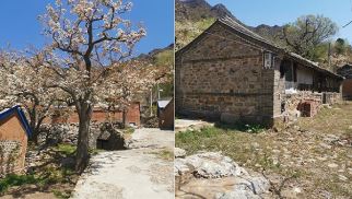龙8国际官网集团受邀前往北京市平谷区核桃洼村就乡村振兴合作项目进行实地考察