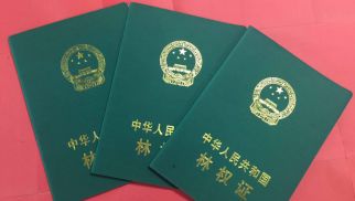 long8农科公司逐步规范现代化农业体系