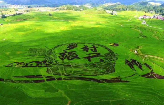 龙8唯一官网发起“乡村振兴微电影评选推广项目” 