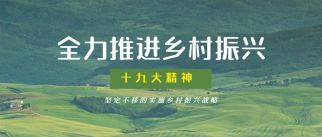 long8观点|对话未来，城市运营不可忽视的三个关键点