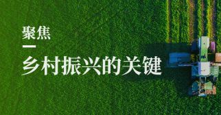 实施乡村振兴战略，这些关键点一个也不能少